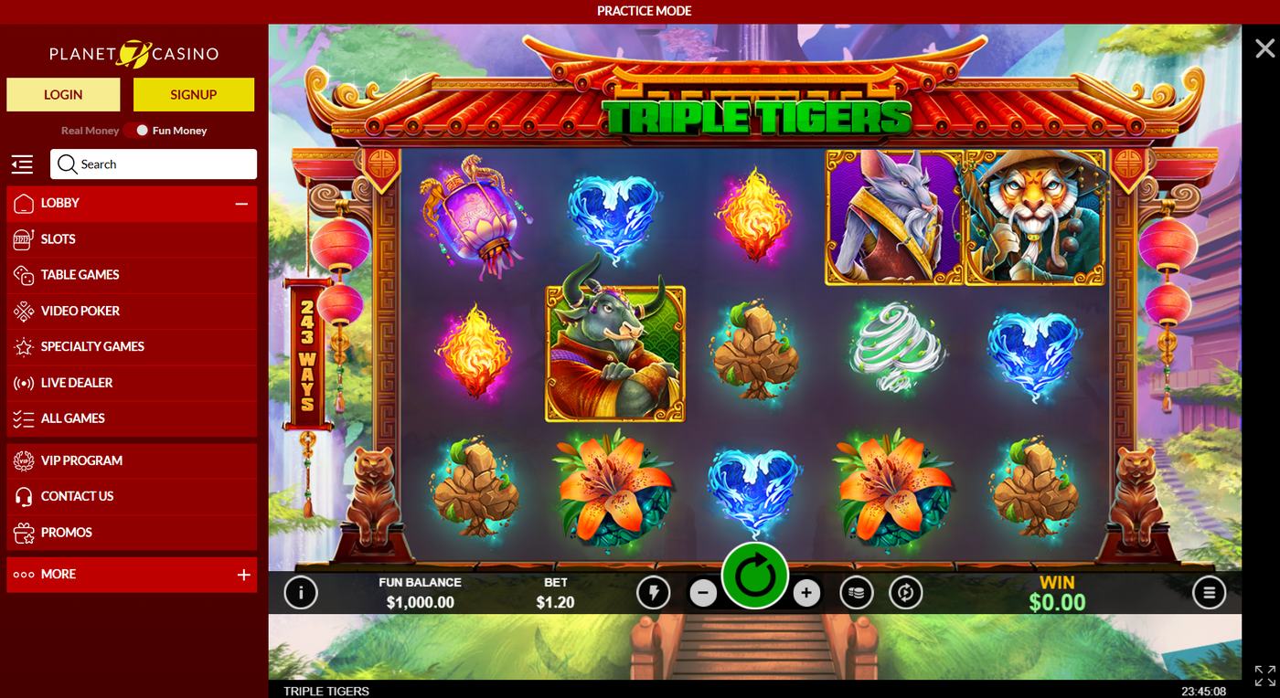 Triple Tigers in practice mode at Planet 7